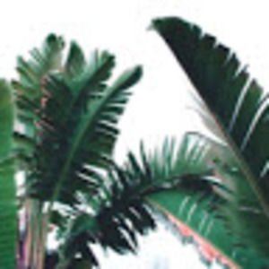 Meet your Posher, Les